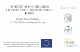 THE IMPLICATION OF A LINEAR GLOBAL PHOSPHORUS …THE IMPLICATION OF A LINEAR GLOBAL PHOSPHORUS SUPPLY CHAIN ON THE WORLD’S REGIONS ClaudiuEduard Nedelciu 4.12.2019, Clermont-Ferrand,