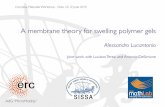 A membrane theory for swelling polymer gels...A membrane theory for swelling polymer gels!! Alessandro Lucantonio!!! Joint work with Luciano Teresi and Antonio DeSimone Complex Materials