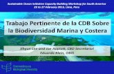 Trabajo Pertinente de la CDB Sobre la Biodiversidad Marina ... · •Ejemplos de acciones nacionales coordinadas muestran que el tratamiento de varios controladores y varios objetivos