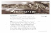 The Metamorphosis by Franz Kafka - Santa Ana Unified ... · NOTES The Metamorphosis