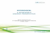 Hydrogen: A renewable energy perspective · 2019-10-08 · on renewable energy. IRENA promotes the widespread adoption and sustainable use of all forms of renewable energy, including