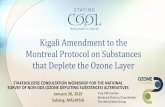 Kigali Amendment to the Montreal Protocol on Substances ...stakeholders consultation workshop for the national survey of non-ods (ozone depleting substances) alternatives january 30,