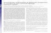 Inward-facing conformation of glutamate transporters as ... · Inward-facing conformation of glutamate transporters as revealed by their inverted-topology structural repeats Thomas