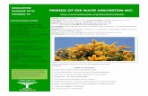NEWSLETTER SUMMER 2018 FRIENDS OF THE WAITE … · 2018-03-19 · NEWSLETTER 94, SUMMER 2018 page 4 FRIENDS WAITE ARBORETUM hectares, containing approximately 1,100 trees from about