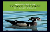 in East TexasMANAGING FOR WOOD DUCKS IN EAST TEXAS 101 and above 31 to 100 11 to 30 4 to 10 2 to 3 One and below None counted BBS Limit The breeding range of wood ducks encompasses