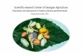 Scientific-research Center of Georgian Agriculture · Mulberry silkworm genofond •in 2018 on the base of materials accumulated about history of origin and development of sericulture