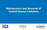 Maintenance and Removal of Central Venous …...Learning Objectives • Discuss components of the central venous catheter (CVC) maintenance bundle • Outline issues to address during