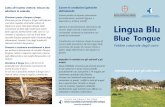 Blue Tongue A4 brochure quarta bozza - izs-sardegna.it Tongue brochure.pdf · Title: Blue Tongue A4 brochure quarta bozza Author: xxx Created Date: 9/13/2013 8:35:42 AM