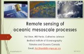 Remote sensing of oceanic mesoscale processesgodae-data/OP19/2.1.6-Ocean...Remote sensing of oceanic mesoscale processes Hui Shen, Will Perrie, Catherine Johnson Bedford Institute