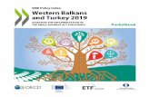 SME Policy Index Western Balkans and Turkey 2019 …...Robust SME sectors are critical to the prosperity of the six Western Balkan economies and Turkey, accounting for over 70% of