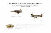 PRAIRIE GROUSE MANAGEMENT PLAN FOR SOUTH ......“flagship” species for conservation of prairie habitat throughout their range and in SD. This management plan identifies and provides