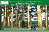 Growing Eucalypts for Timber, Poles & Fuelwoodspgs.mwe.go.ug/sites/files/Growing Eucalyptus for... · Eucalyptus grandis growing in Fort Portal, western Uganda. These trees are now