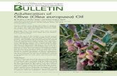 Adulteration of Olive (Olea europaea) Oilcms.herbalgram.org/BAP/pdf/BAPP-BABs-OliveOil-CC20new...2 Olea euroaea) Oil • an • Olive Varieties1 describing 139 cultivars grown across