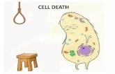 CELL DEATH - WordPress.com · 2016-12-22 · • Necrosis is a pathological process induced by accidental cell damage. • A number of toxic chemical or physical events can cause