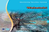 Keterangan sampul depancoremap.or.id/downloads/BME_Ekologi_Wakatobi_09.pdf · ii Reef Health Monitoring 2009 (Wakatobi) RINGKASAN EKSEKUTIF PENDAHULUAN Kepulauan Wakatobi merupakan