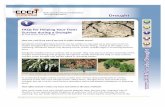 FAQs for Helping Your Trees Survive during a Drought · FAQs for Helping Your Trees Survive during a Drought By Hank Stelzer and Bert Cregg Drought injury symptoms on tree leaves