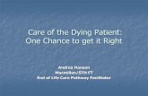 Care of the Dying Patient: One Chance to get it Right Chance to get...Leadership Alliance for Care of the Dying ‘One Chance to get it right’ June 2014 Guidance on what constitutes