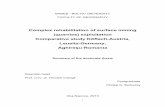Complex rehabilitation of surface mining (quarries) exploitation Comparative …doctorat.ubbcluj.ro/.../geografie/Berkessy_Philipp_EN.pdf · 2013-11-20 · Complex rehabilitation
