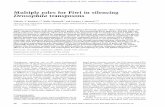 Multiple roles for Piwi in silencing Drosophila transposonsgenesdev.cshlp.org/content/27/4/400.full.pdf · Multiple roles for Piwi in silencing Drosophila transposons Nikolay V. Rozhkov,1,2