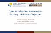 QAPI & Infection Prevention: Putting the Pieces …...QAPI & Infection Prevention: Putting the Pieces Together Tammy Baumann, RN, LSSGB Quality Improvement Advisor Great Plains Quality