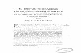 EL DUCTUS THORACICUS · 2017-04-23 · EL DUCTUS THORACICUS y las vIas linfaticas colaterales del tórax en el macacus rhesus, con un estudio complementa: rio del desarrollo de estos