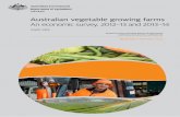 Australian vegetable growing farmsdata.daff.gov.au/data/warehouse/9aab/9aabf/2014/avfesd9... · 2014-11-12 · Australian vegetable growing farms: an economic survey, 2012–132and