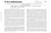 Theorigin jellyfish, VOL76 SEPTEMBER NO3 1987 cAnOfficia1 Journalofthe AmericanHeartcAssociation,Inc