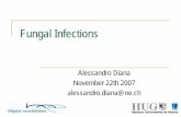 Fungal Infections - PIGSCandidiasis (disseminated infection) AmB-LP 3-5 mg/kg/d IV Fluconazole 6-12 mg/kg/d IV, PO x 2-4 wks Kg/d PO div q 6H For immune-compromised children start