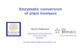 Enzymatic conversion of plant biomass - LTH · 2011-08-29 · Enzymatic conversion of plant biomass Henrik Stålbrand Department of Biochemistry ... b-Mannanses of Glycoside Hydrolase