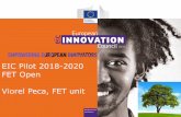 EIC Pilot 2018-2020 FET Open Viorel Peca, FET unit & FET.pdf · EIC Pilot 2018-2020 FET Open Viorel Peca, FET unit