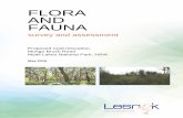 FLORA AND FAUNA - environment.nsw.gov.au...A terrestrial flora and vertebrate fauna investigation has been conducted within, adjacent to and beyond the limits of a 3.2-kilometre-long