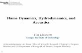 Flame Dynamics, Hydrodynamics, and Acousticsyju/1st-near-limit-flames-workshop/presentations/seminar.lieuwen.pdfSchool of Aerospace Engineerng 1 Flame Dynamics, Hydrodynamics, and