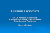 Human Genetics - Biologychalmersbiology.weebly.com/uploads/5/5/7/1/5571931/pedigree_chart_ppt.pdf · Polydactyly and Syndactyly Hypertension Hereditary Edema Chronic Simple Glaucoma