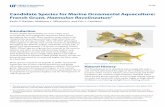 Candidate Species for Marine Ornamental Aquaculture ... · Candidate Species for Marine Ornamental Aquaculture: French Grunt, Haemulon flavolineatum 4 Studies that have examined the