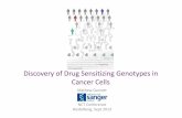 Discovery of Drug Sensitizing Genotypes in · Combination Drug˜1Drug˜2Drug˜1˜target Drug˜2˜target 1 Camptothecin Olaparib topoisomerase˜1PARP1/2 2 Cisplatin Bortezomib DNA˜crosslinker