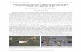 First records of Eurasian Wigeon Anas penelope and …S. Rajeshkumar & C. Raghunathan 305 Bull. B.O.C. 2014 134(4) 2014 The Authors; Journal compilation 2014 British Ornithologists’