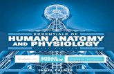 ESSENTIALS OF - Amazon Web Services...4 \ HUMAN ANATOMY LESSONS cavity, is composed of various body structures protecting vital structures. It is subdivided into a cranial component,