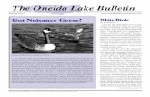 The Oneida Lake Bulletin - Constant Contactfiles.constantcontact.com/eb077e39501/407ec5bf-0500-42e5-95d1-96cf6311a3b9.pdfWilliam “ Bill” Schriever William “ Bill” Schriever,