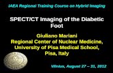 SPECT/CT Imaging of the Diabetic Foot...SPECT/CT Imaging of the Diabetic Foot Giuliano Mariani Regional Center of Nuclear Medicine, University of Pisa Medical School, Pisa, Italy Vilnius,