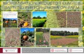 BIOFUMIGATION, REDUCED TILLAGE, & BATTLING … · BIOFUMIGATION, REDUCED TILLAGE, & BATTLING PHYTOPHTHORA ON-FARM 2 36 37 Web The Cornell web logo (above) is a simpliﬁed version