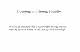Bioenergy and Energy Security - Fapesp · Bioenergy and Energy Security The role of bioenergy for a sustainable energy matrix, meeting societal needs in the face of climate change