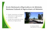 Ecole Nationale d’Agriculture de Meknès School of …• Public Institution of Higher Education in Agriculture • Created in 1948 • Under the authority of the Ministry of Agriculture