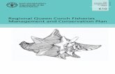 Regional Queen Conch Fisheries Management and Conservation ... · Queen Conch Fishery Management and Conservation Plan will be progressively implemented, it should lead to improvements