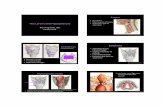 The Larynx and Hypopharynx - Educational Symposia · Netter, Atlas of Human Anatomy Aryepiglottic Folds • Sweep downward and posteriorly from epiglottis to the arytenoid • Pyriform