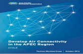 APEC Project: TWG 01 2014A...APEC Project TWG 01 2014A – Develop Air Connectivity in the APEC Region 5 Glossary The following section presents a list of commonly used expressions