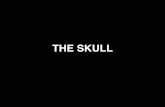 THE SKULL - University of Utah Morphogenesis of Cranial Bones THE SKULL Chondrocranium/cartilaginous