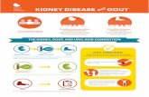 KIDNEY DISEASE GOUT A N D · KIDNEY DISEASE GOUT 8.3 million American adults have gout. If not treated early, gout can lead to joint damage that doesn’t get better. 1 in 3 American