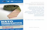 NATO-PERSPEKTIVA PROGRAMME BOSNIA AND HERZEGOVINA · nato-perspektiva programme bosnia and herzegovina assessment of the results achieved in regard to social, economic and institutional