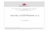 VESTEL ELEKTRONIK A.S. - TKYDupdate after Vestel had received a first rating released in 2007. Vestel then had been rated with a score of 7,5. In the first update, released in 2008,