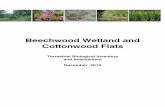 Beechwood Wetland and Cottonwood Flats · 2018-10-17 · Beechw ood Wetland and Cottonw ood Flats December 2010 1 1.0 Introduction In 2009 and 2010 the Toronto Region Conservation